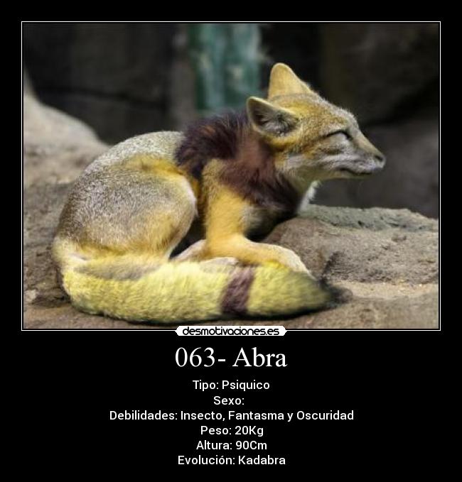 063- Abra - 