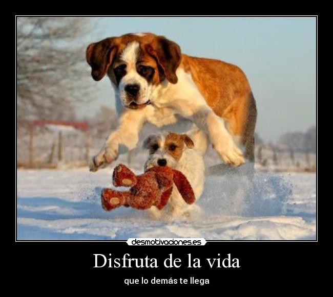 Disfruta de la vida -