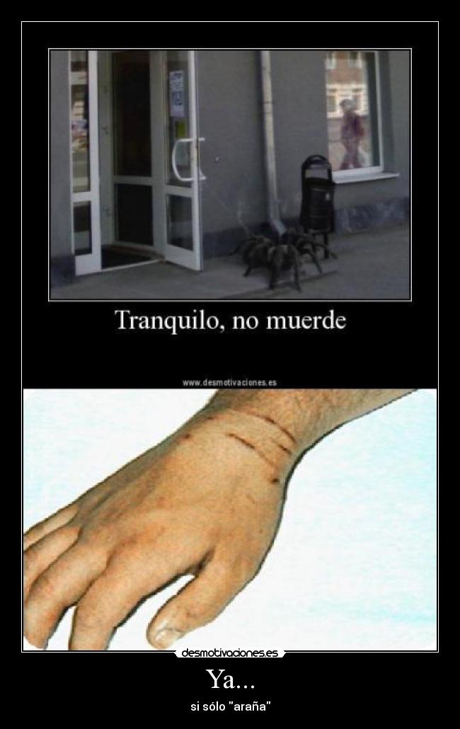 Ya... - si sólo araña