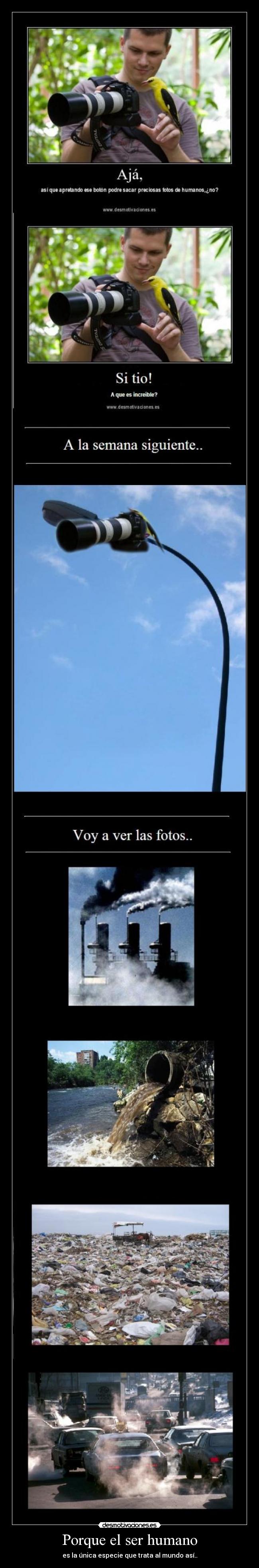 Porque el ser humano - es la única especie que trata al mundo así..