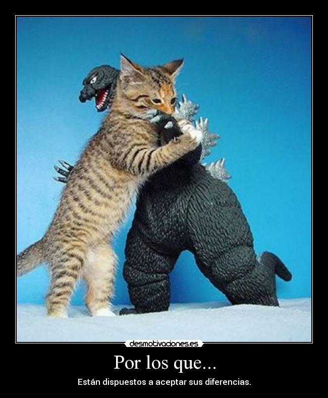 carteles diferencias por los que bonito gatosgodzilla juguete abrazo desmotivaciones