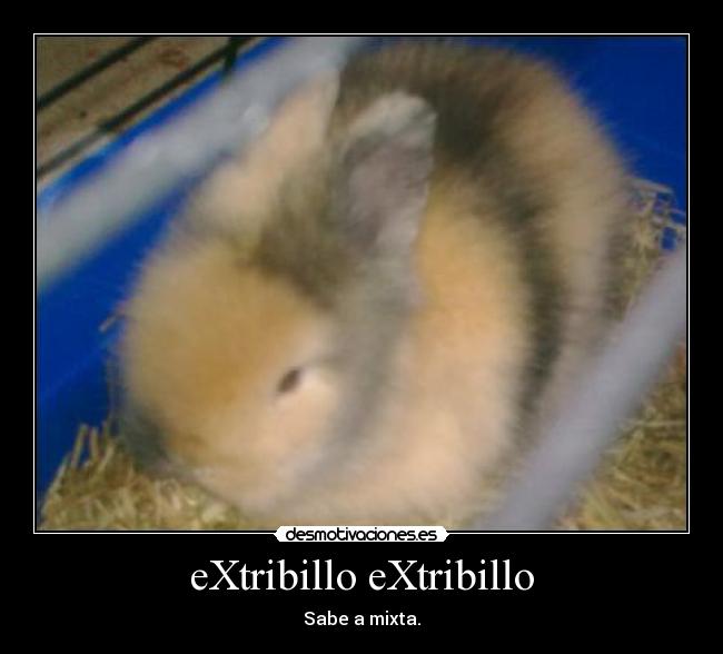 eXtribillo eXtribillo - 