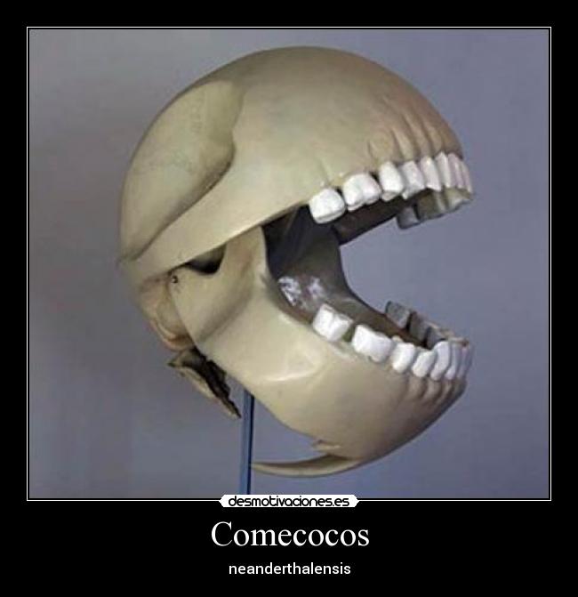 Comecocos - 