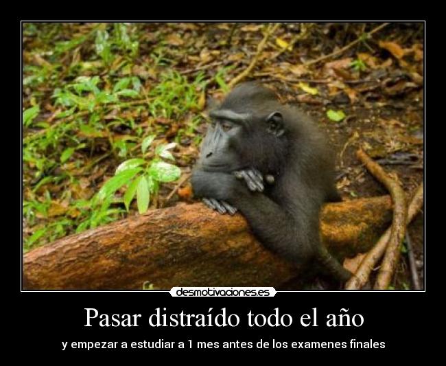 Pasar distraído todo el año - y empezar a estudiar a 1 mes antes de los examenes finales