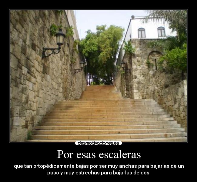 carteles escaleras pasos desmotivaciones