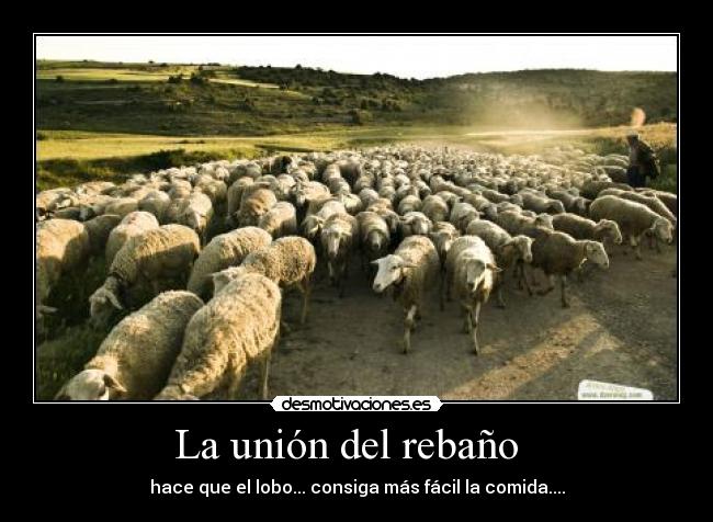 La unión del rebaño   - 