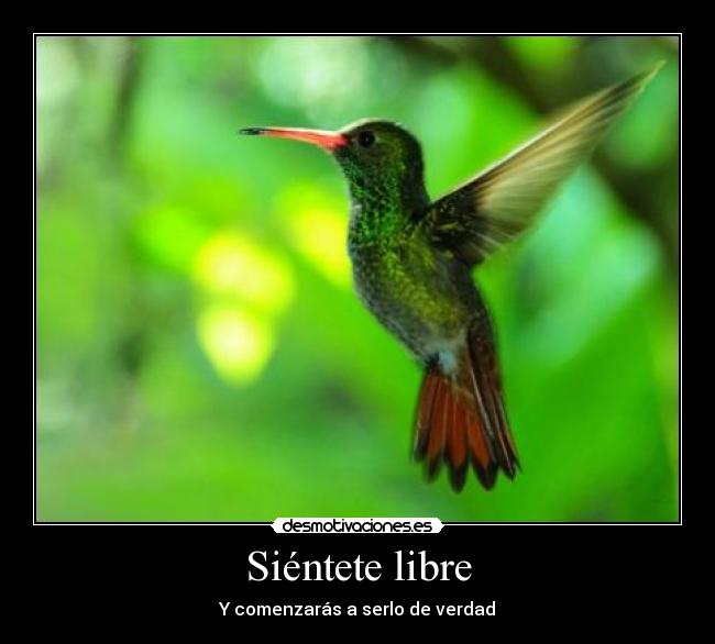 Siéntete libre -