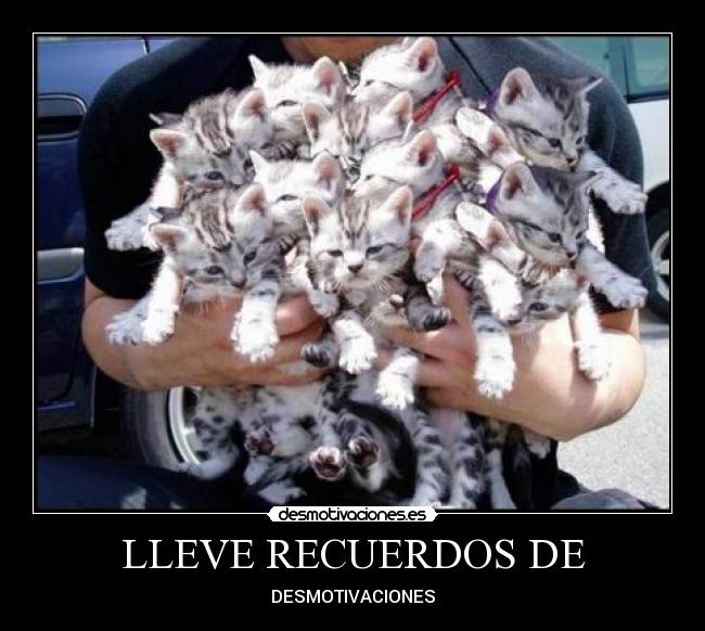 LLEVE RECUERDOS DE -