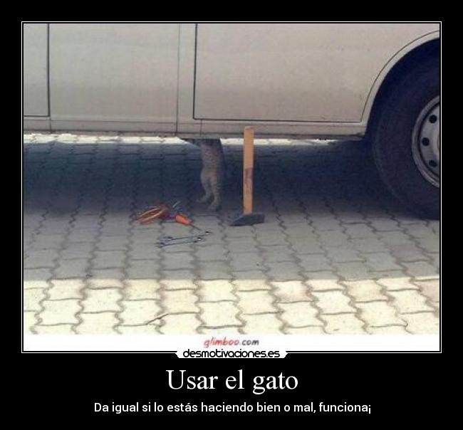 Usar el gato -