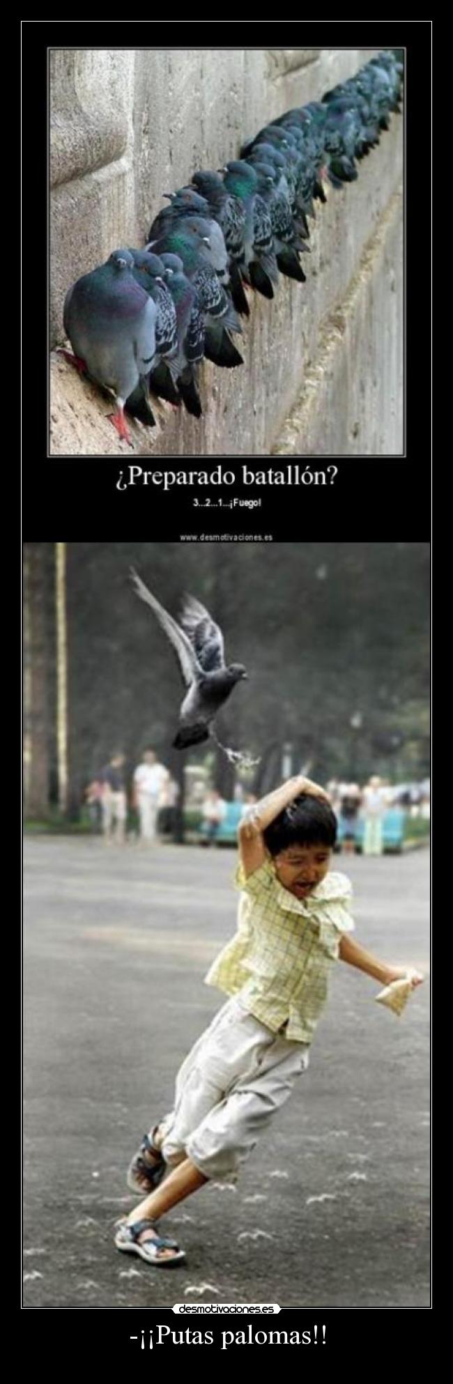-¡¡Putas palomas!! -