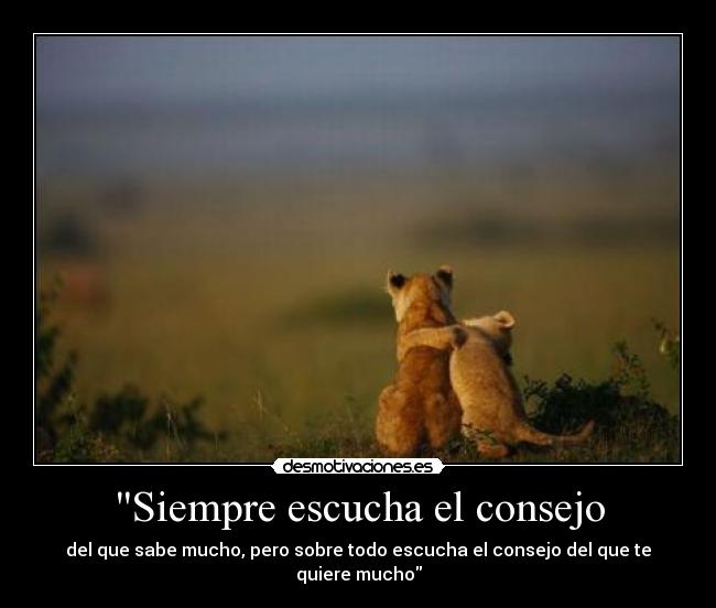 Siempre escucha el consejo - del que sabe mucho, pero sobre todo escucha el consejo del que te quiere mucho