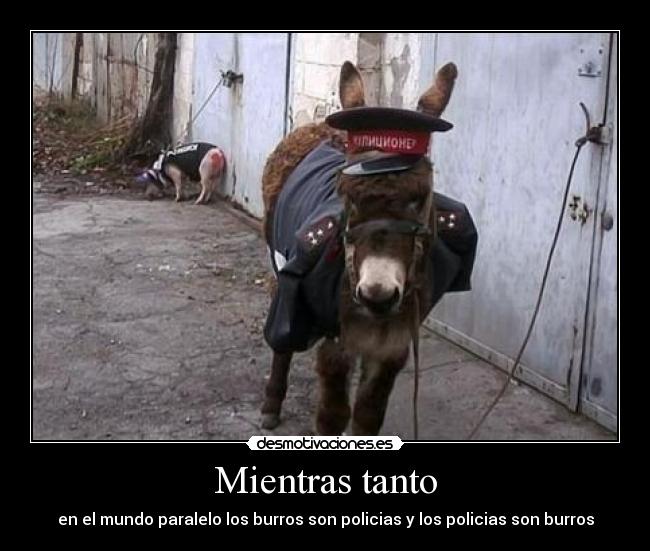 carteles xexomlg desmotivaciones