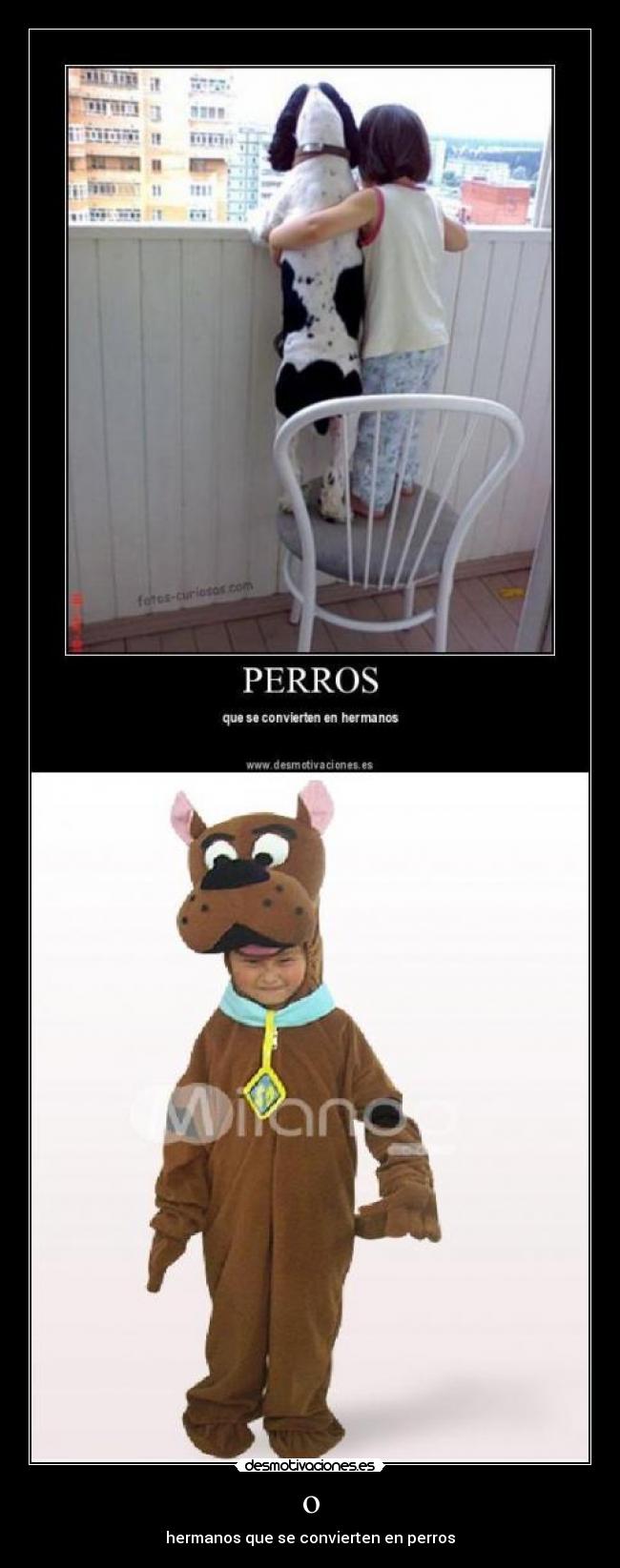 carteles desmotivaciones