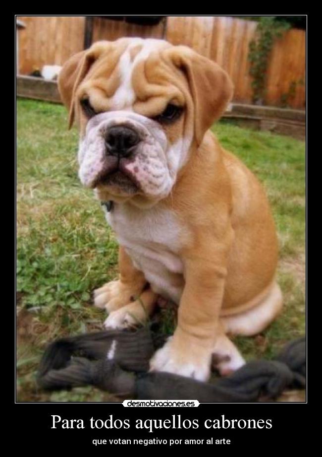Para todos aquellos cabrones -