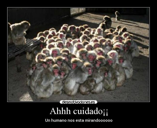 Ahhh cuidado¡¡ -