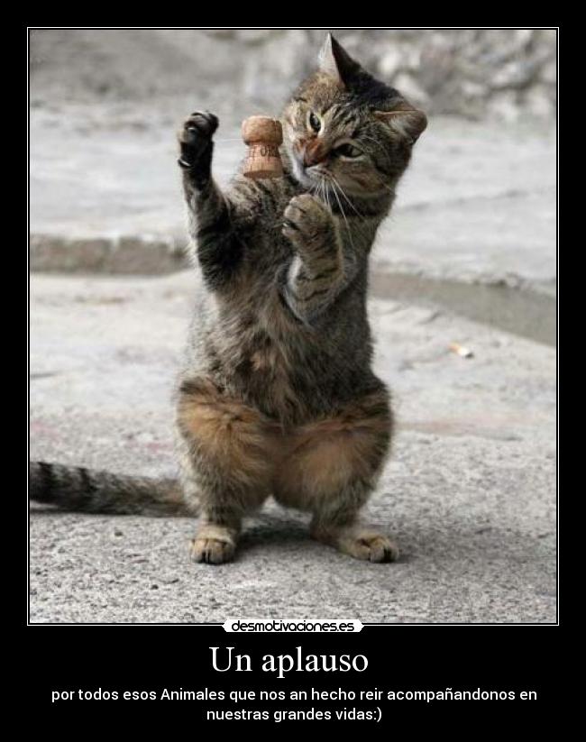 Un aplauso  - por todos esos Animales que nos an hecho reir acompañandonos en
nuestras grandes vidas:)
