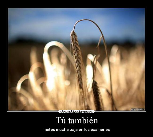 Tú también - metes mucha paja en los examenes
