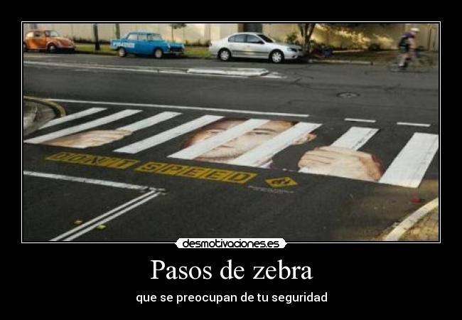 Pasos de zebra - 