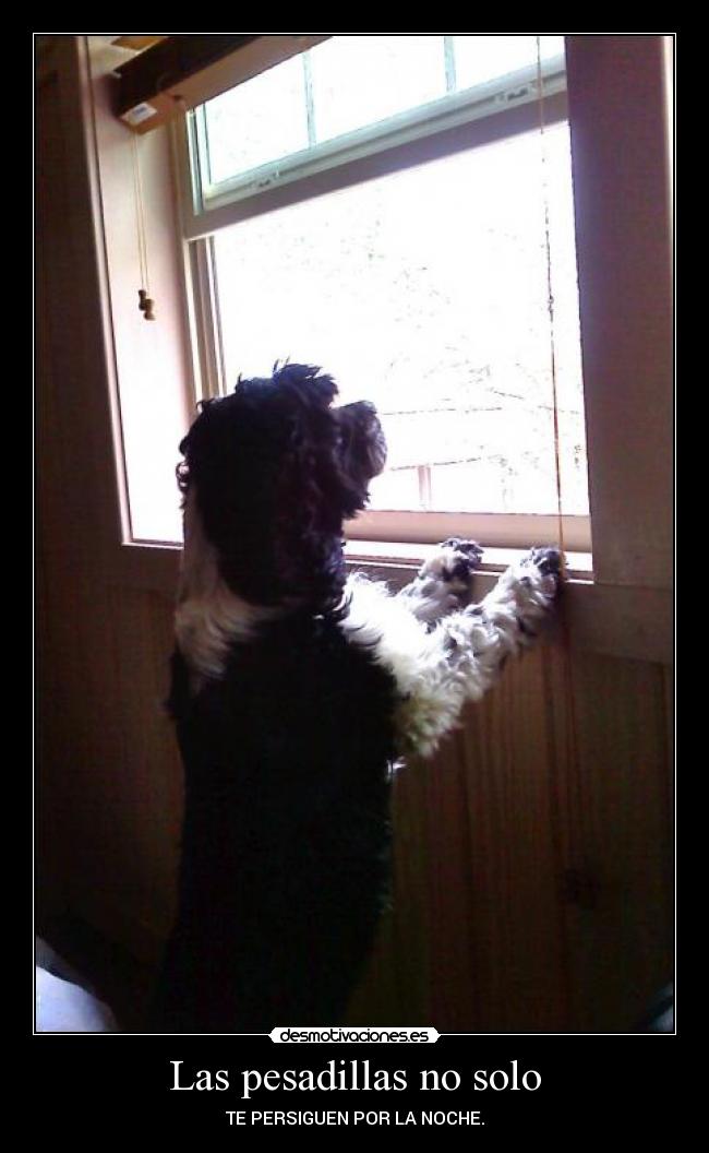 Las pesadillas no solo - TE PERSIGUEN POR LA NOCHE.