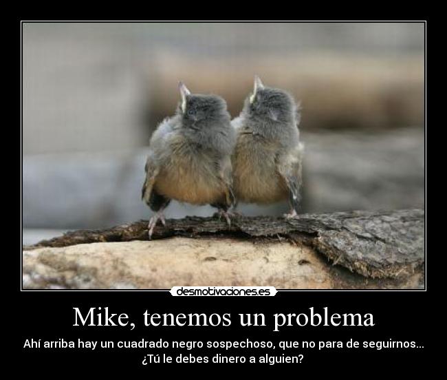 Mike, tenemos un problema - Ahí arriba hay un cuadrado negro sospechoso, que no para de seguirnos...
¿Tú le debes dinero a alguien? 