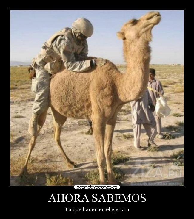 carteles kevinnx desmotivaciones