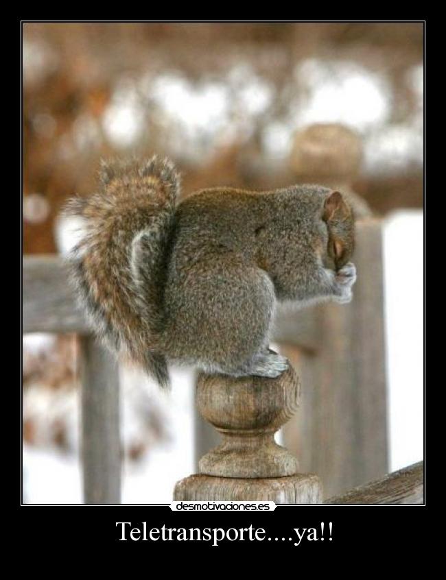 Teletransporte....ya!! -