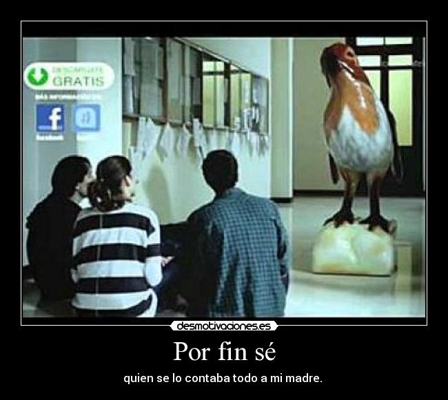 Por fin sé - quien se lo contaba todo a mi madre.