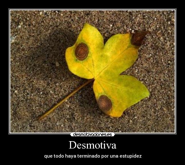 Desmotiva - que todo haya terminado por una estupidez