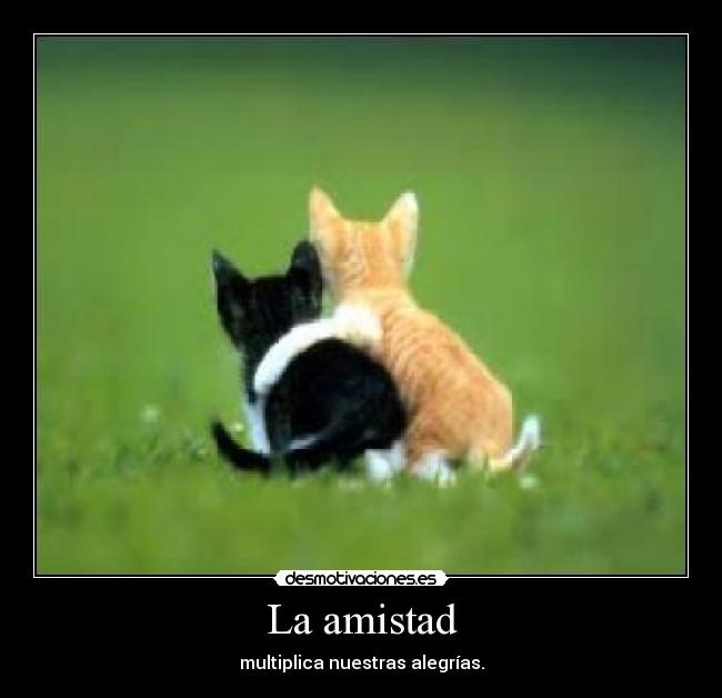 La amistad -