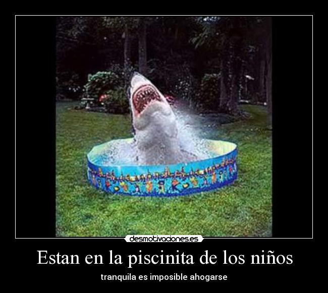 Estan en la piscinita de los niños -