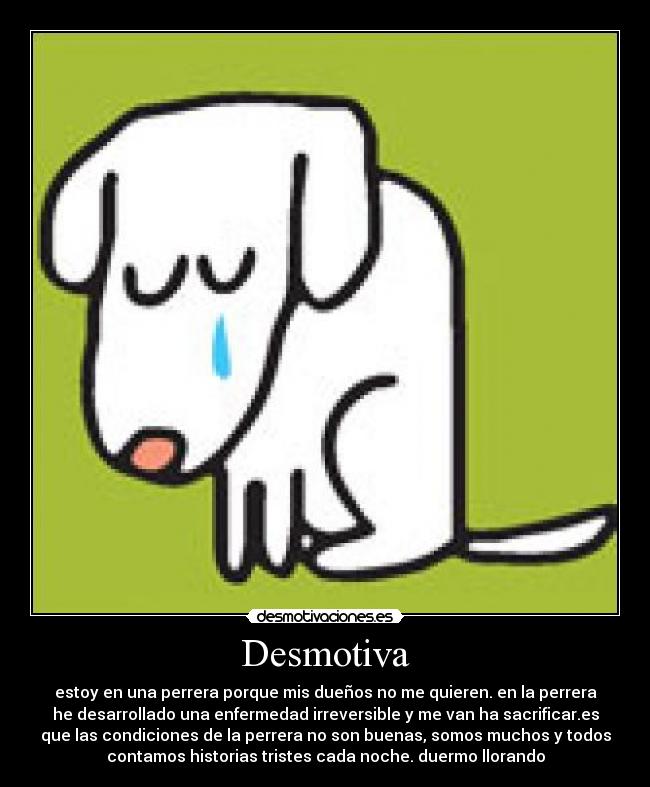 carteles google desmotivaciones
