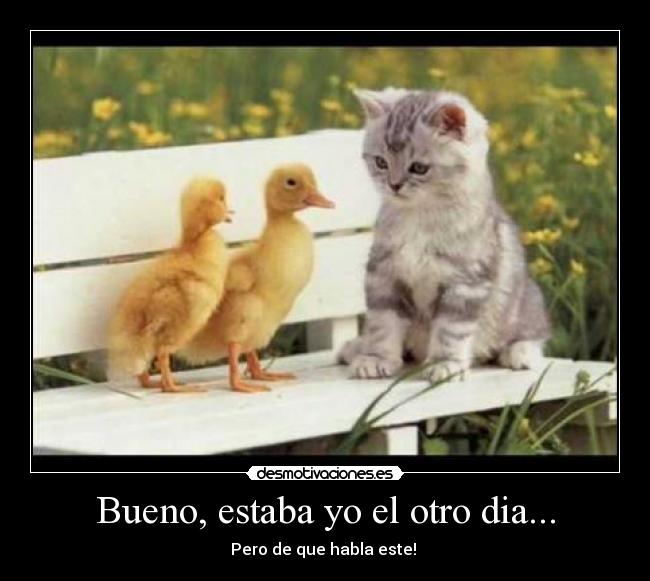 Bueno, estaba yo el otro dia... -