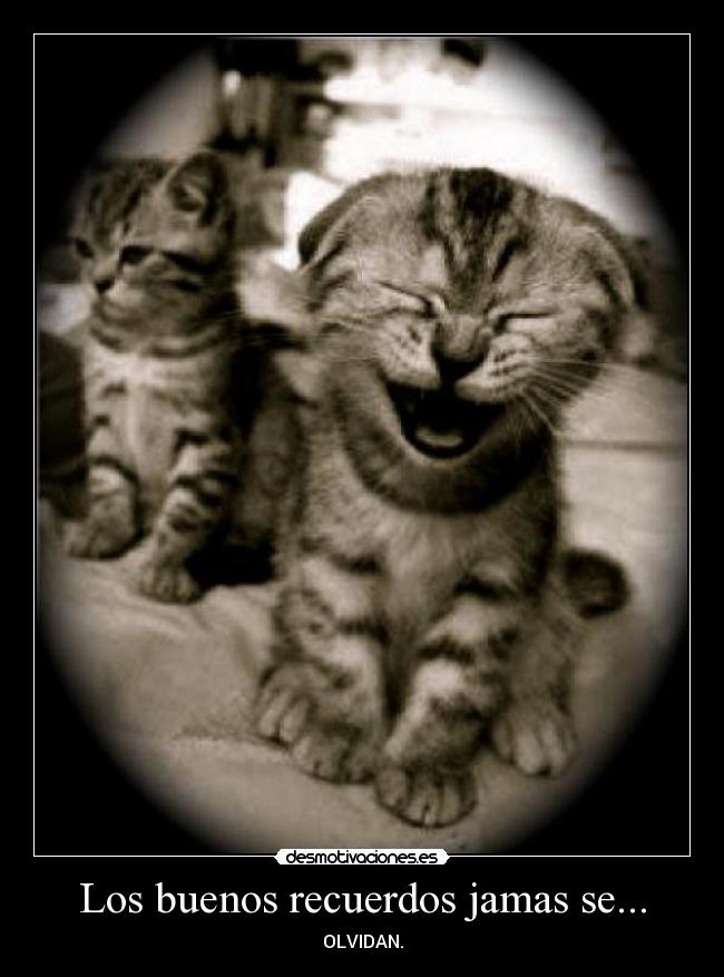 Los buenos recuerdos jamas se... - OLVIDAN.