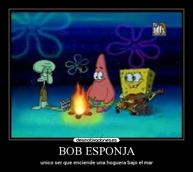 BOB ESPONJA -