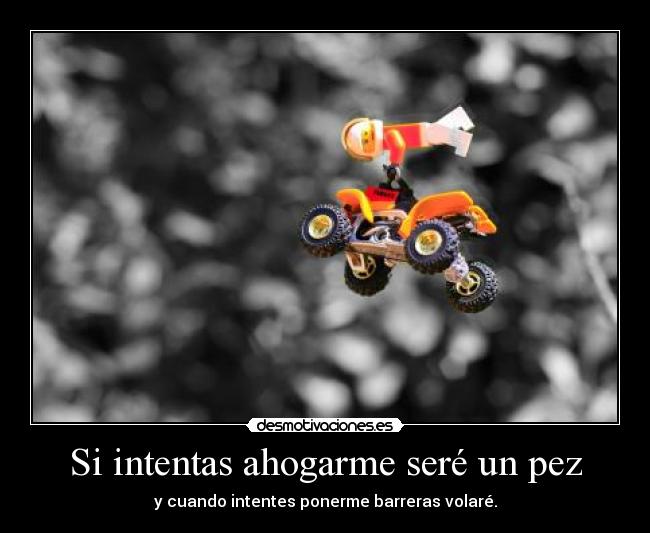 carteles ahogarcorrervolar desmotivaciones