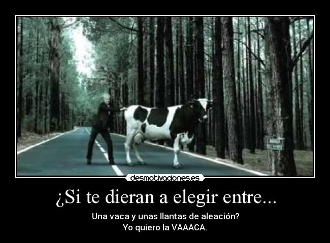 ¿Si te dieran a elegir entre... -