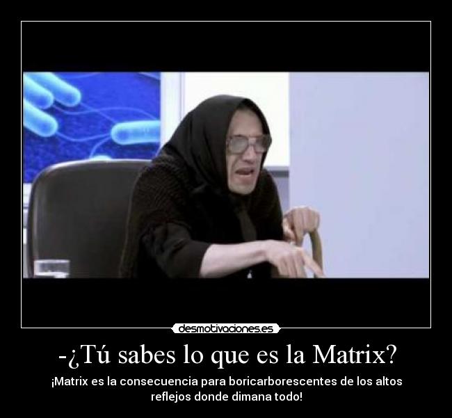 -¿Tú sabes lo que es la Matrix? - ¡Matrix es la consecuencia para boricarborescentes de los altos
reflejos donde dimana todo!