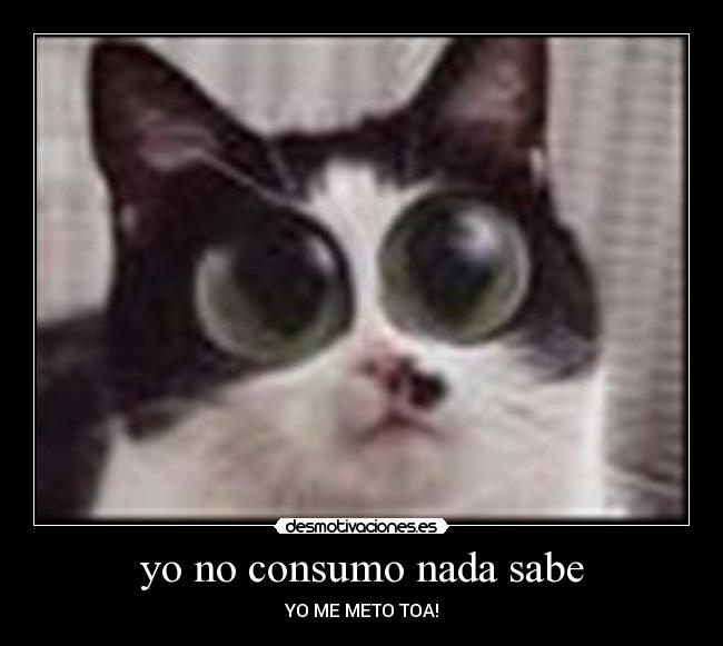 yo no consumo nada sabe - YO ME METO TOA!