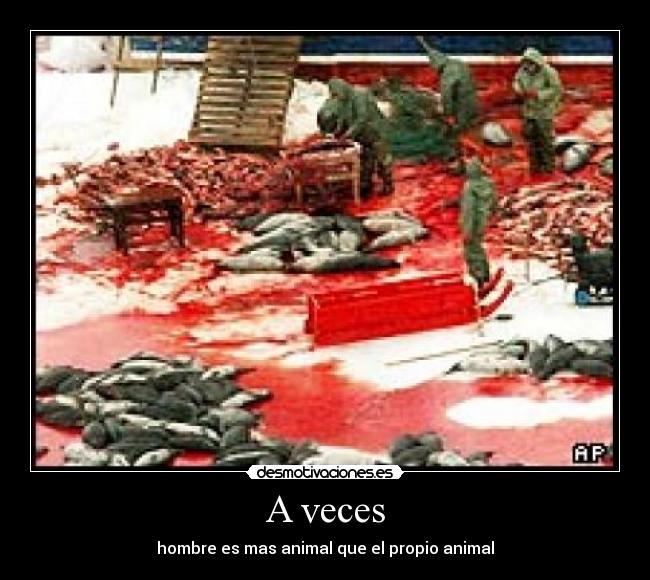 A veces - 