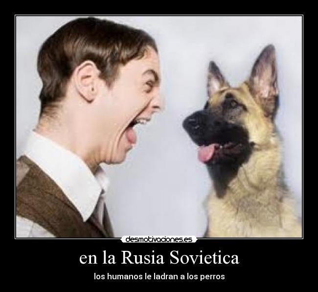 carteles desmotivaciones