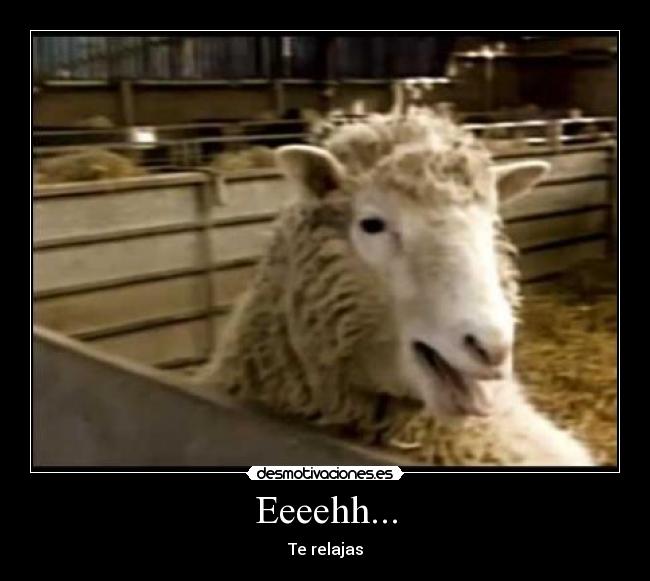 Eeeehh... - Te relajas