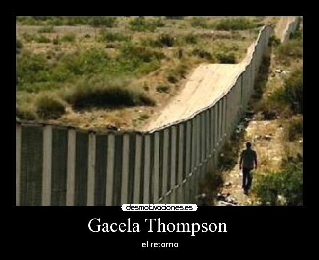 Gacela Thompson  - el retorno