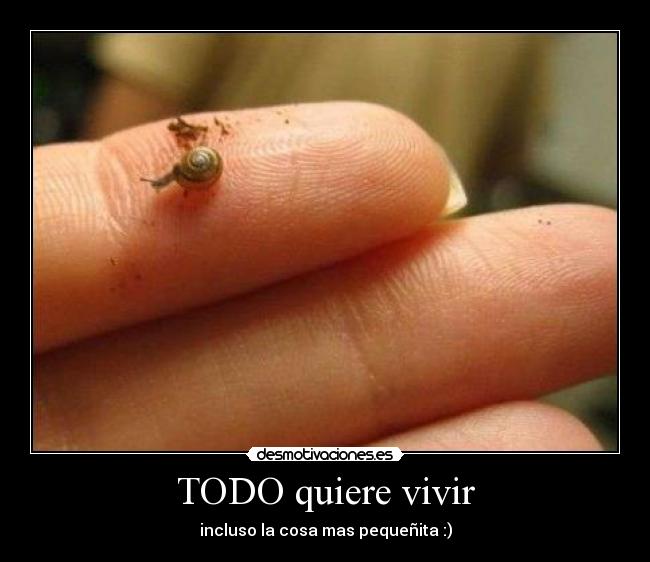 TODO quiere vivir - 