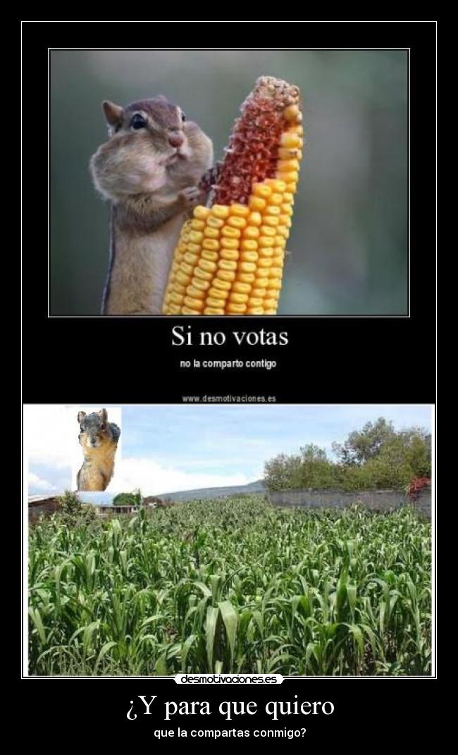 ¿Y para que quiero - que la compartas conmigo?