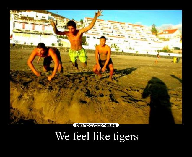 carteles feel like tigers desmotivaciones