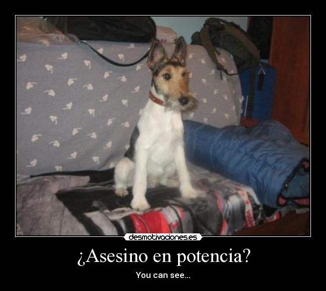 ¿Asesino en potencia? -