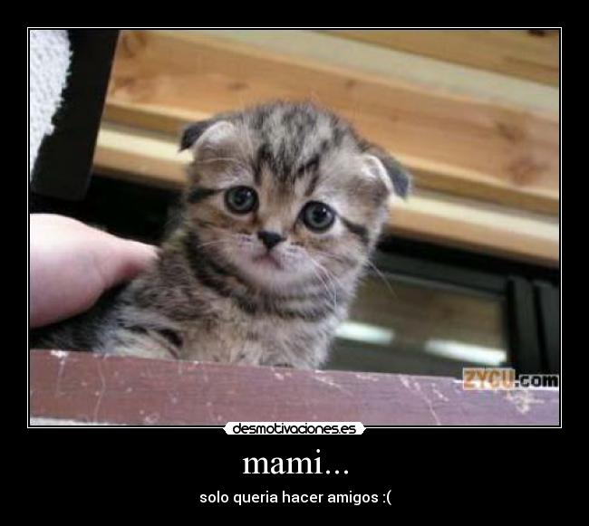mami... -