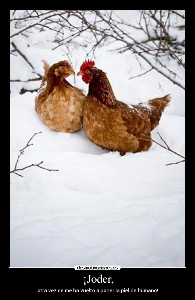 ¡Joder, - otra vez se me ha vuelto a poner la piel de humano!