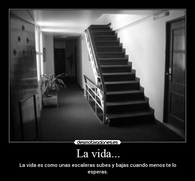 La vida... - La vida es como unas escaleras subes y bajas cuando menos te lo esperas.