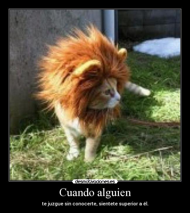 Cuando alguien - te juzgue sin conocerte, sientete superior a él.